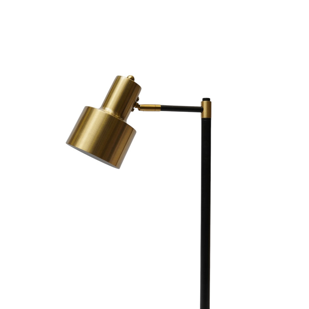 Prism Ray LED Mood & Focus Study Table Lamp