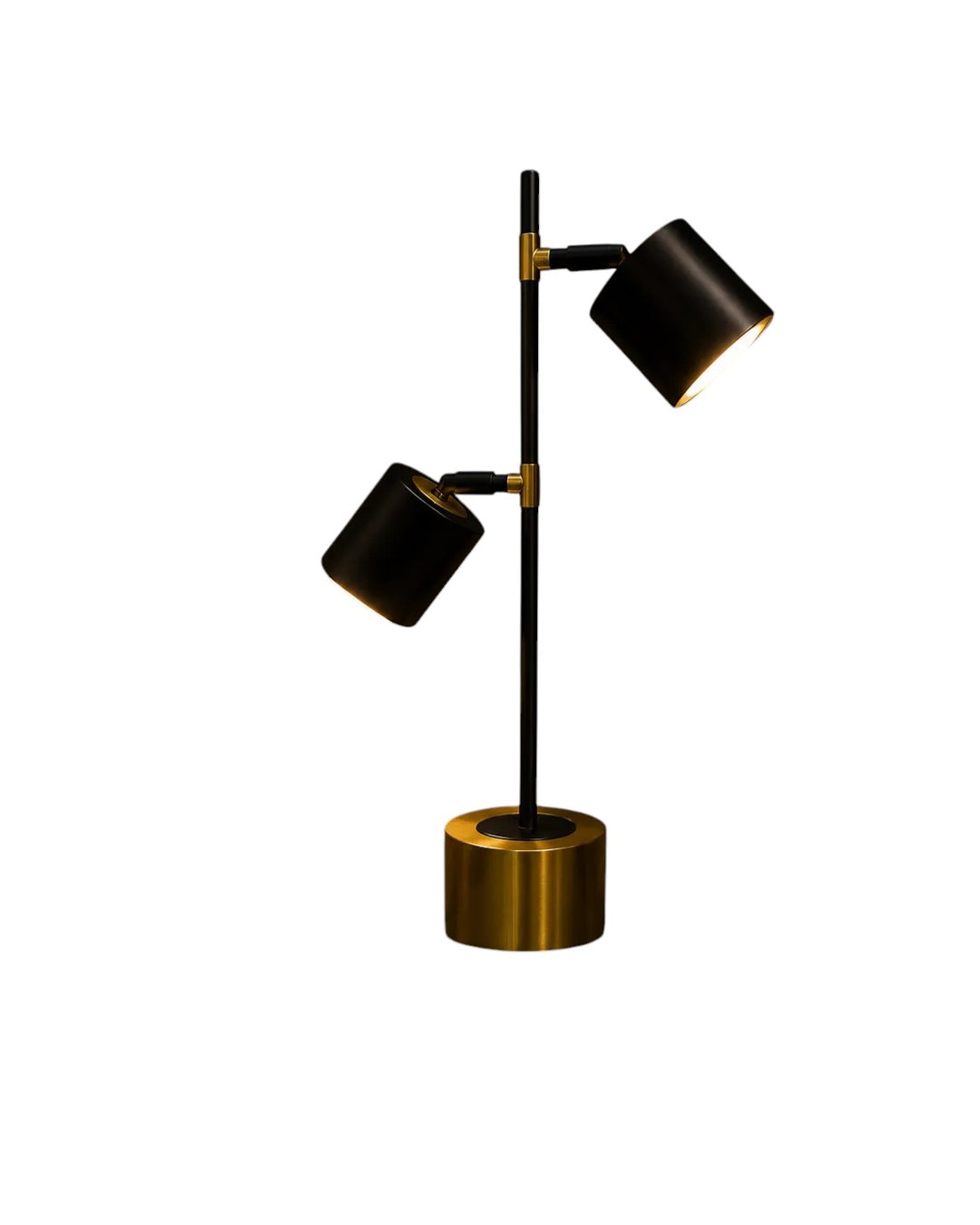 Modern Dual Focus Table Lamp