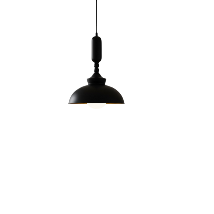 Noir Luxe Dome Pendant Metallic Wall Light